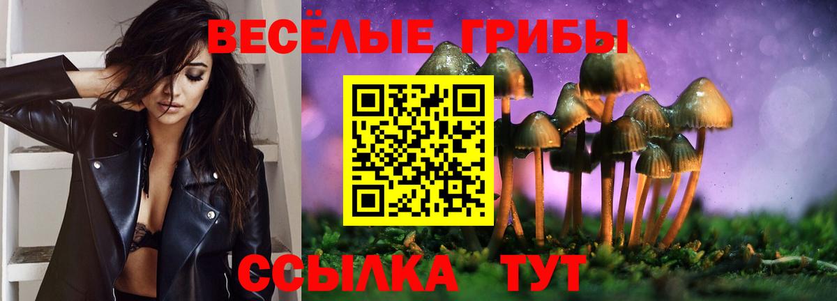 Вышний Волочёк  Галлюциногенные грибы Psilocybe  Вход с VPN  Галлюциногенные грибы ЛСД 